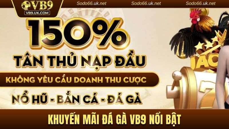 Khuyến mãi đá gà Vuabai9 nổi bật nhất