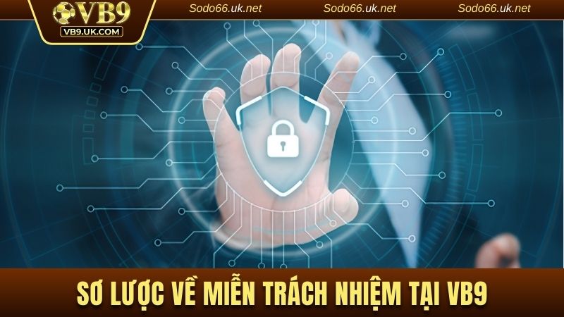 Một số thông tin cơ bản về miễn trừ trách nhiệm VB9