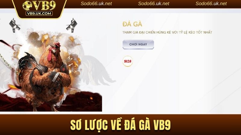 Sơ lược về đá gà VB9