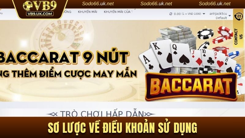 Sơ lược về điều khoản sử dụng