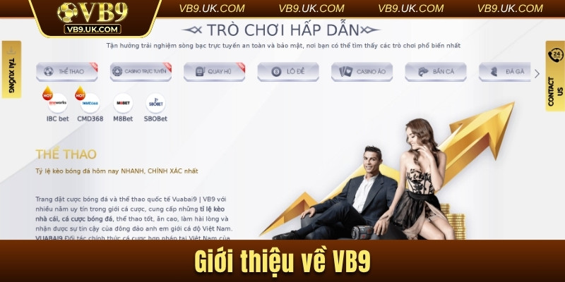 Giới thiệu về VB9